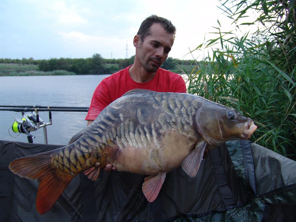 Tancabesti 31 august - 7 septembrie 2014 - 106901617238663776789896936116921364263624n.jpg